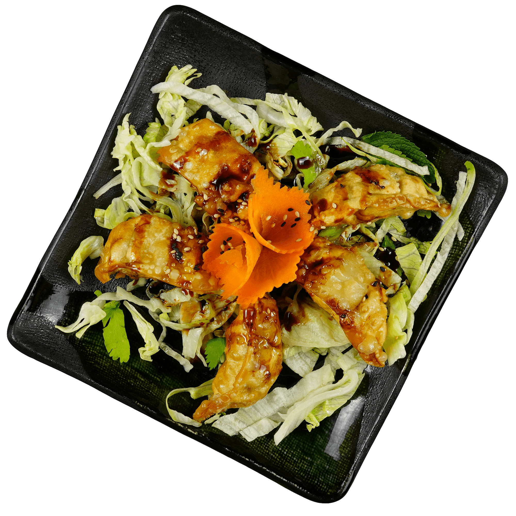 Gyoza